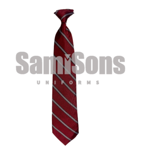 SM Public School - Tie
