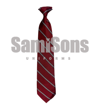 SM Public School - Tie