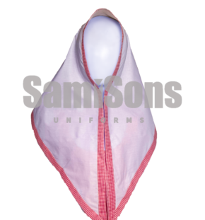 The Inspiration School - Pink Check